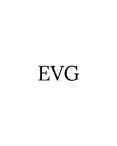 Evangelist 